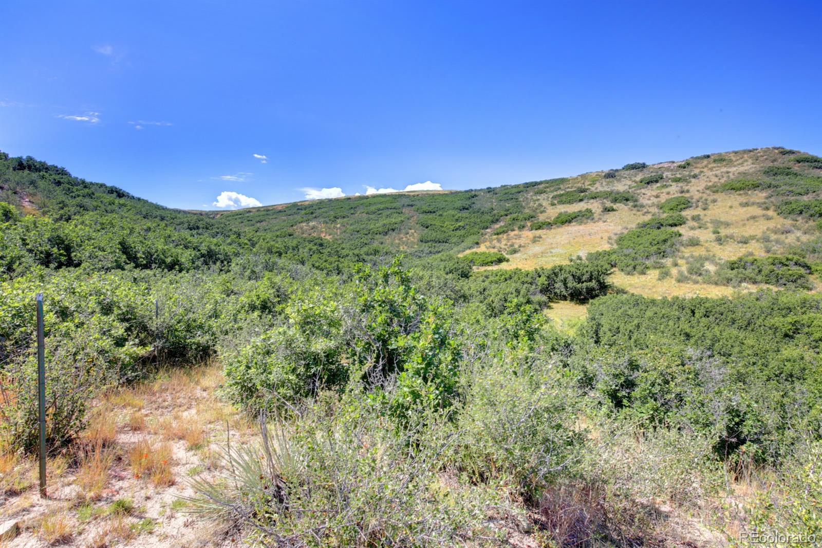 1962 Haystack Road Castle Rock, CO 80104 - Photo 4 of 4