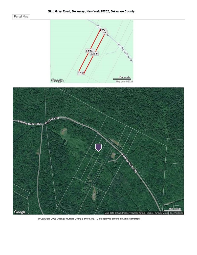 Skip Gray Road Delancey, NY 13752 - Photo 3 of 7 Matrix parcel map