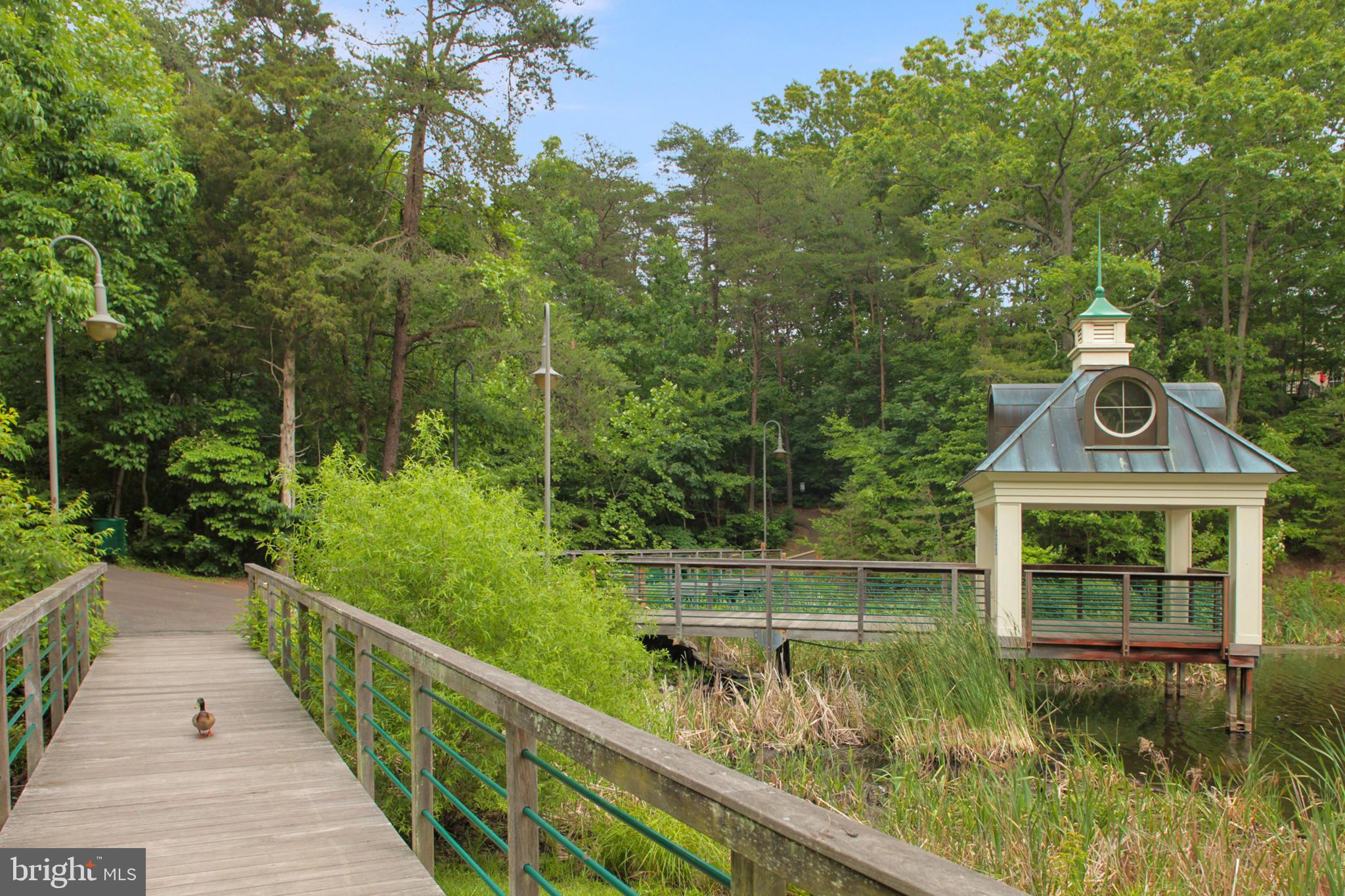 6741 Stone Maple Terrace Centreville, VA 20121 - Photo 34 of 35 Park- Like Community