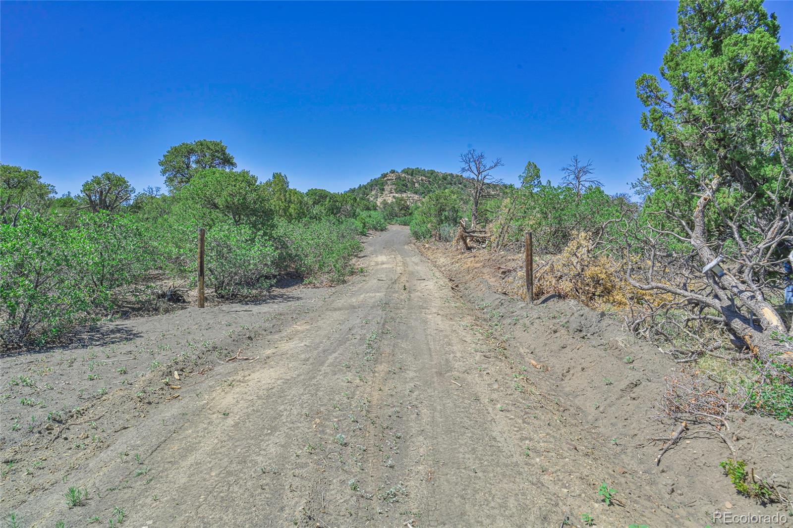 Fishers Peak Ranch Trinidad, CO 81082 - Photo 21 of 32