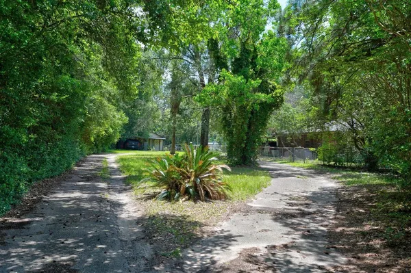 a view of a park with large trees