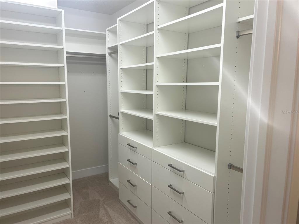 2511 North Grady Avenue, Unit 34 Tampa, FL 33607 - Photo 13 of 45 a view of walk in closet with empty racks