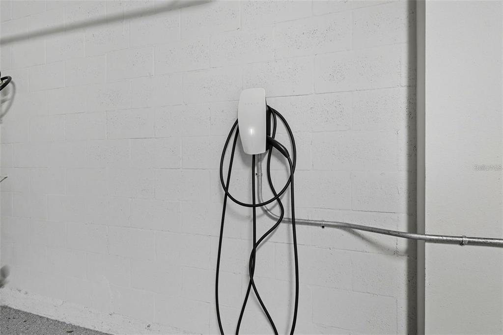 2511 North Grady Avenue, Unit 34 Tampa, FL 33607 - Photo 19 of 45 a picture of a glass door with a plant in it