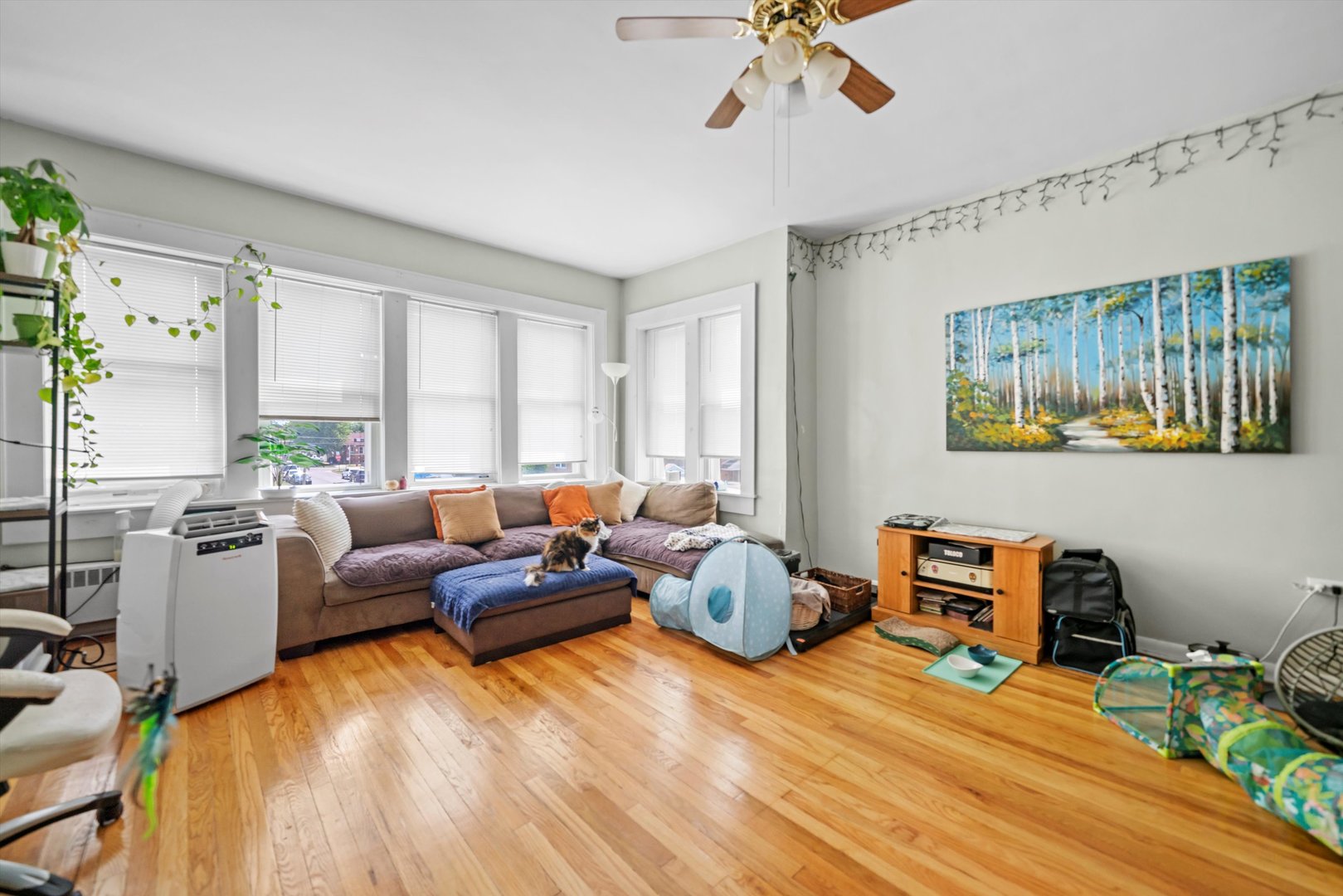 6058 South Massasoit Avenue Chicago, IL 60638 - Photo 17 of 45