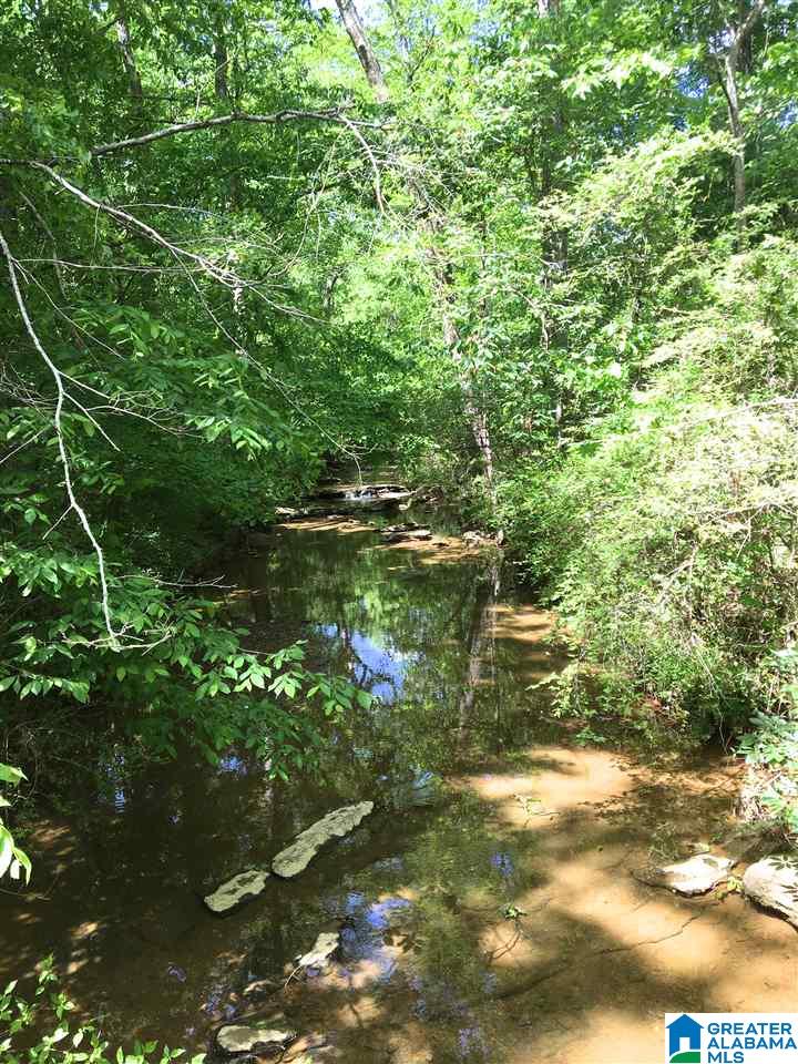 4545 Holly Grove Road Jasper, AL 35501 - Photo 28 of 33