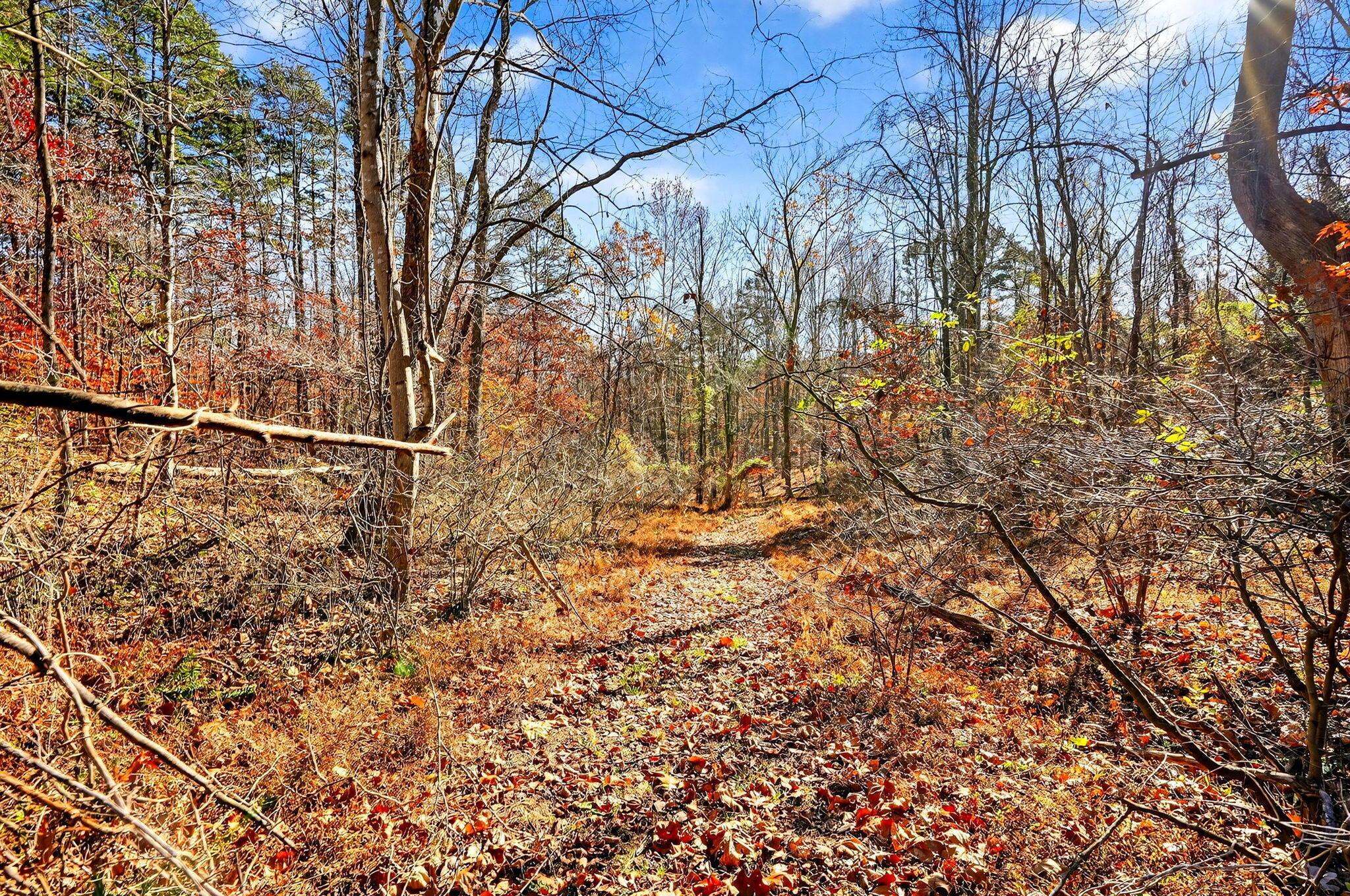 0 Cherry Ridge Road Thurman, OH 45685 - Photo 26 of 29 0 Cherry Ridge Road 35