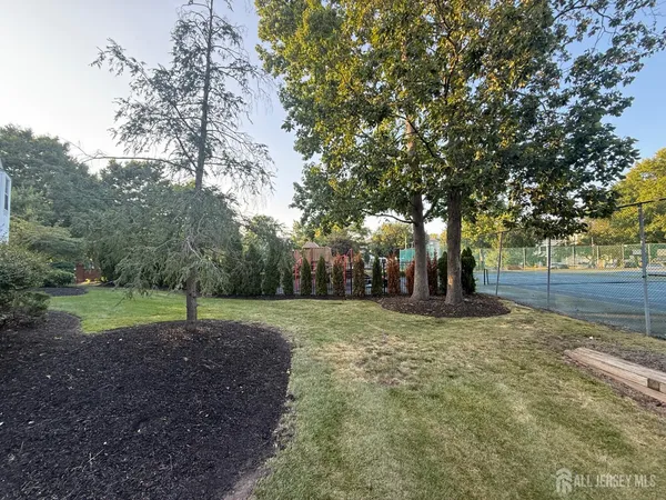 a view of a yard with tree s