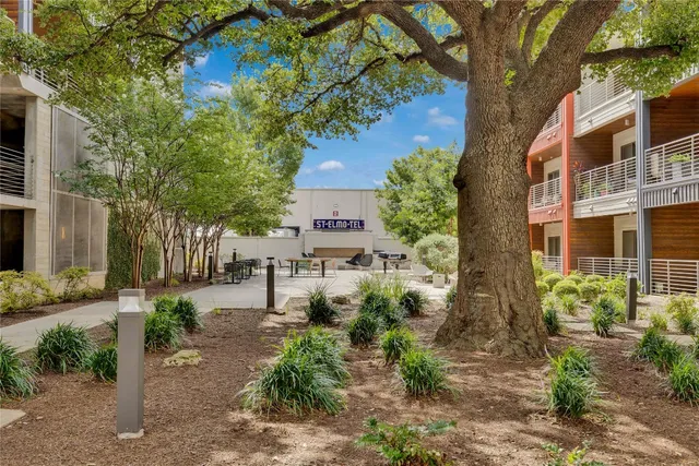 a view of a backyard with plants and large tree
