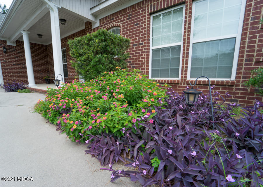 126 Timber Ridge Boulevard Byron, GA 31008 - Photo 23 of 26 a potted plant sitting in front of a house
