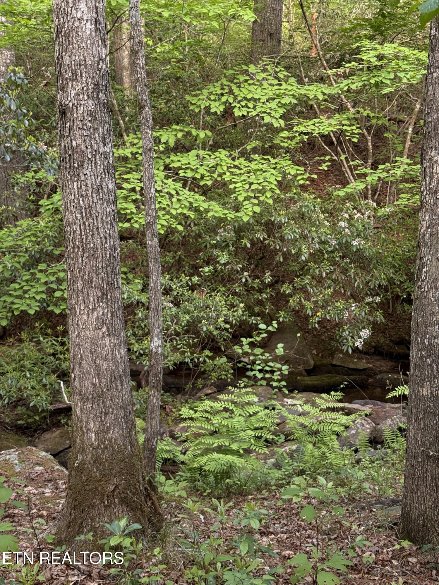 0 Genesis Road Crossville, TN 38555 - Photo 11 of 15