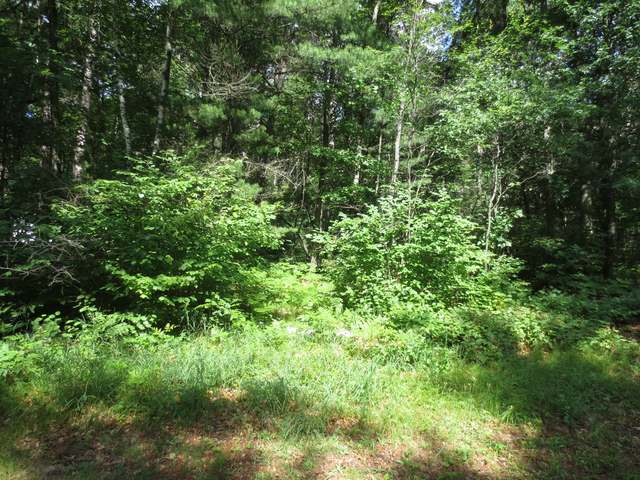 On The Point Road East, Unit LOT 23 Tomahawk, WI 54487 - Photo 1 of 4 Gallery Image 1