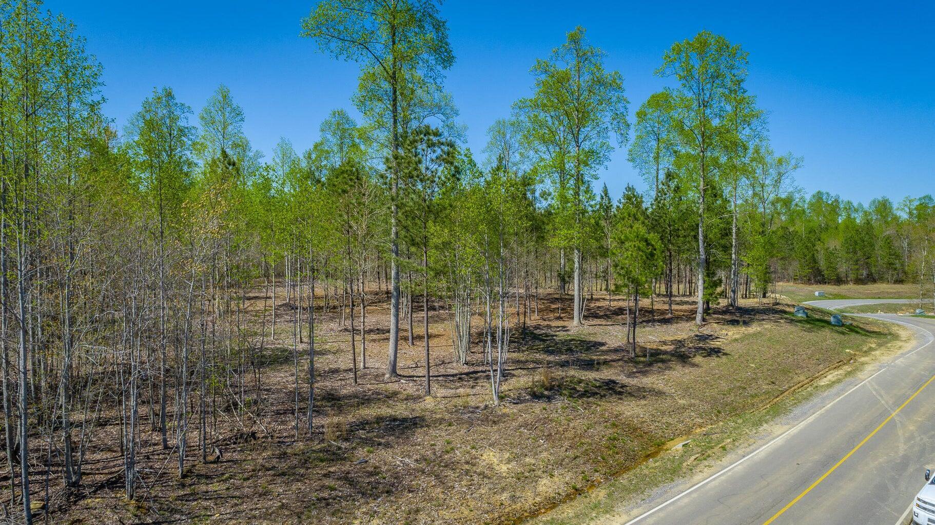 20250505153047366005000000-o