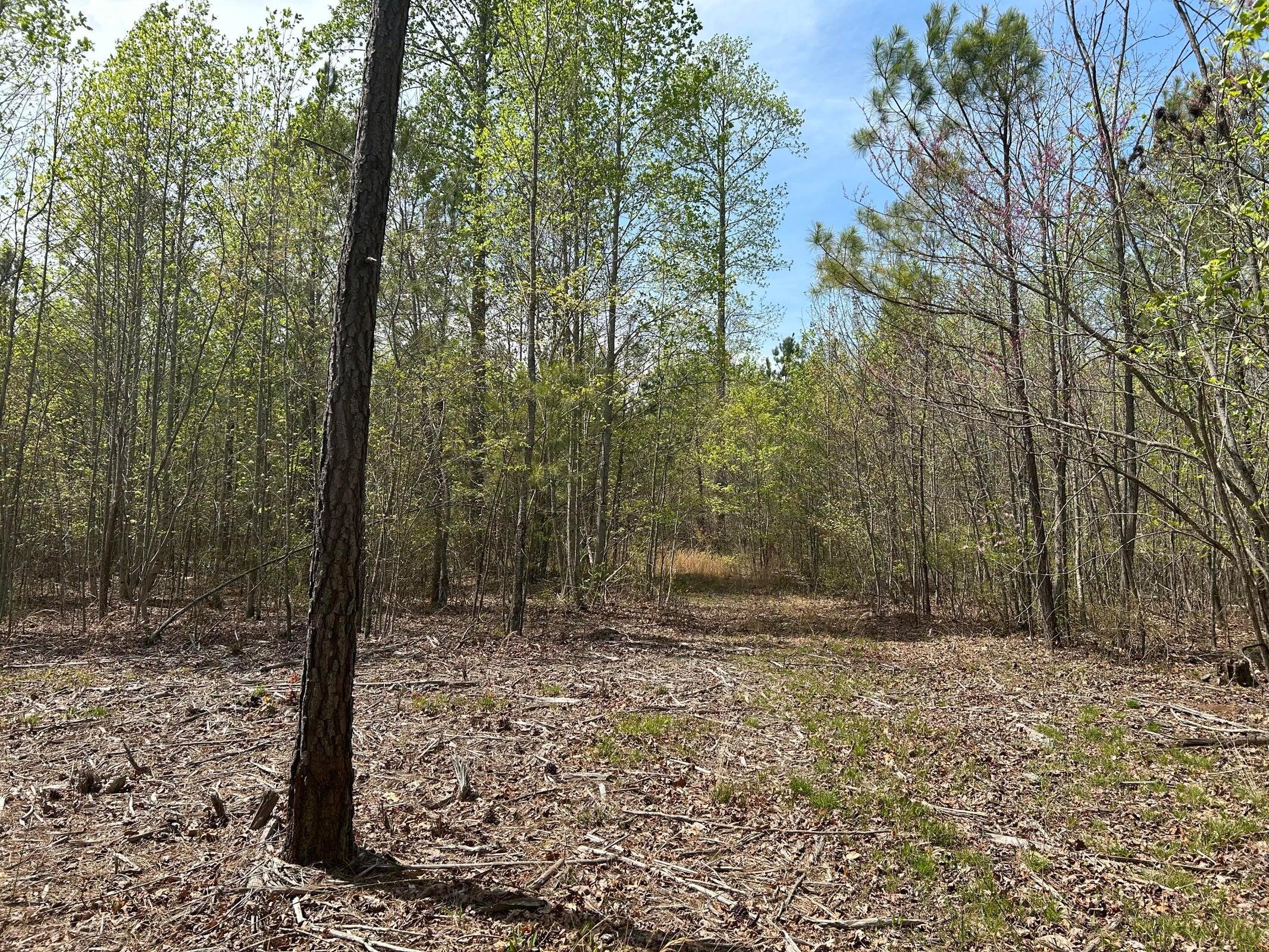 6390 Raulston Falls Drive Jasper, TN 37347 - Photo 11 of 41 20250505153100522115000000-o