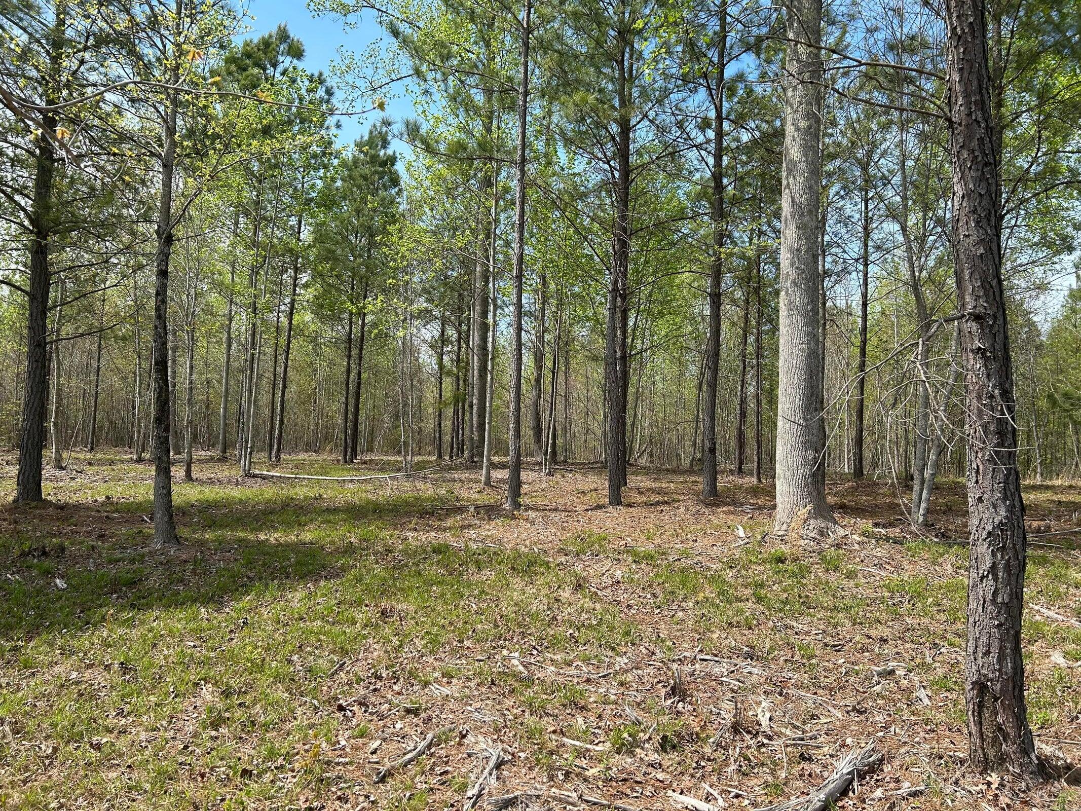 6390 Raulston Falls Drive Jasper, TN 37347 - Photo 13 of 41 20250505153108700951000000-o