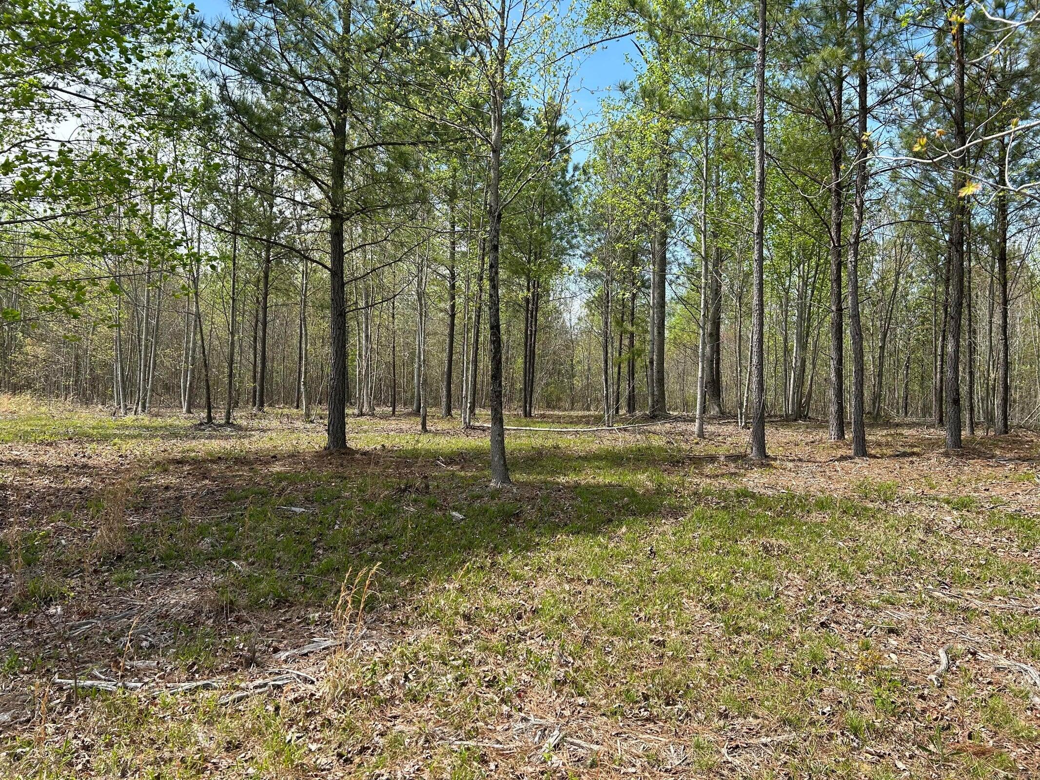 6390 Raulston Falls Drive Jasper, TN 37347 - Photo 14 of 41 20250505153110107393000000-o