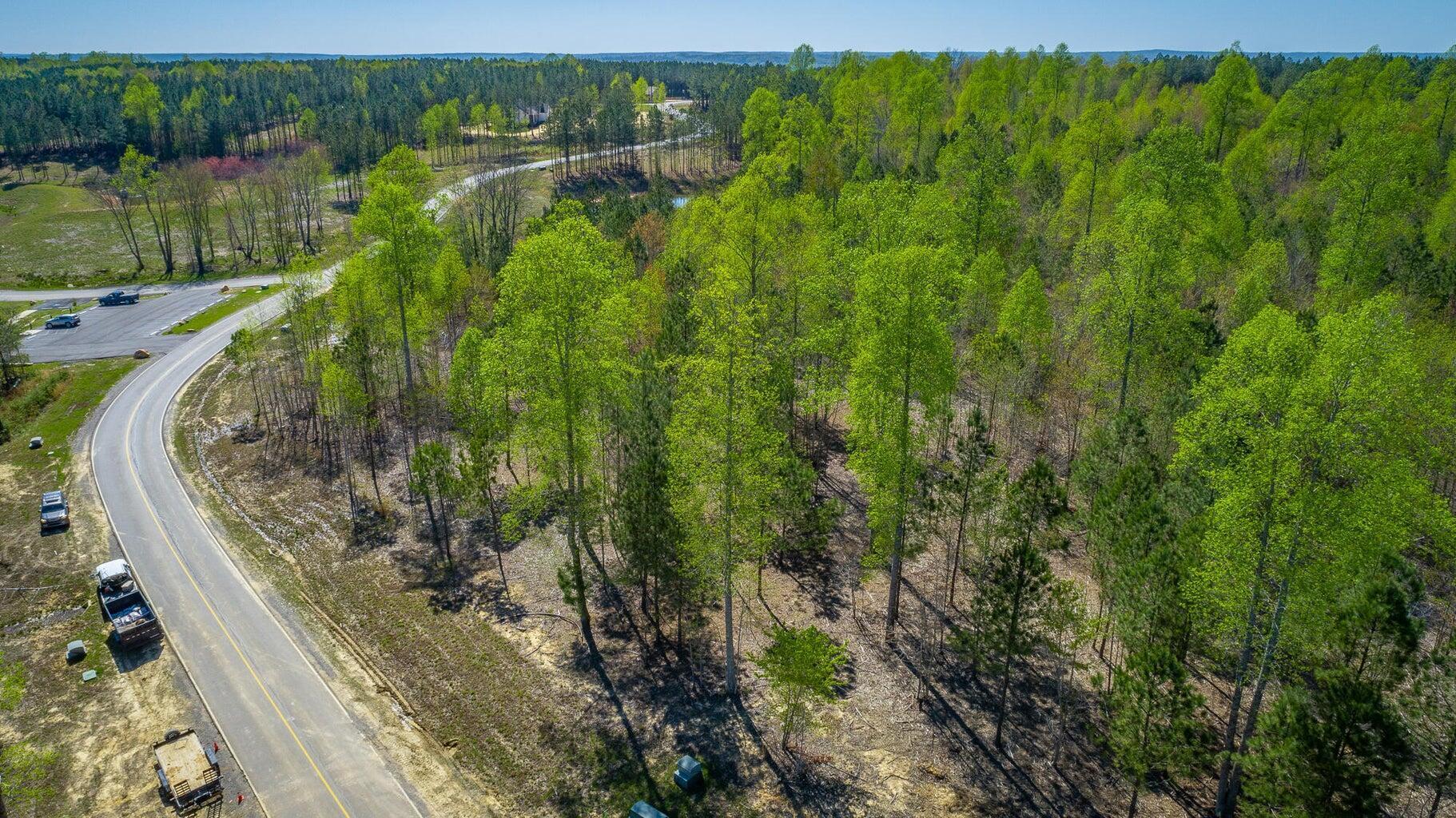 6390 Raulston Falls Drive Jasper, TN 37347 - Photo 4 of 41 20250505153047739833000000-o