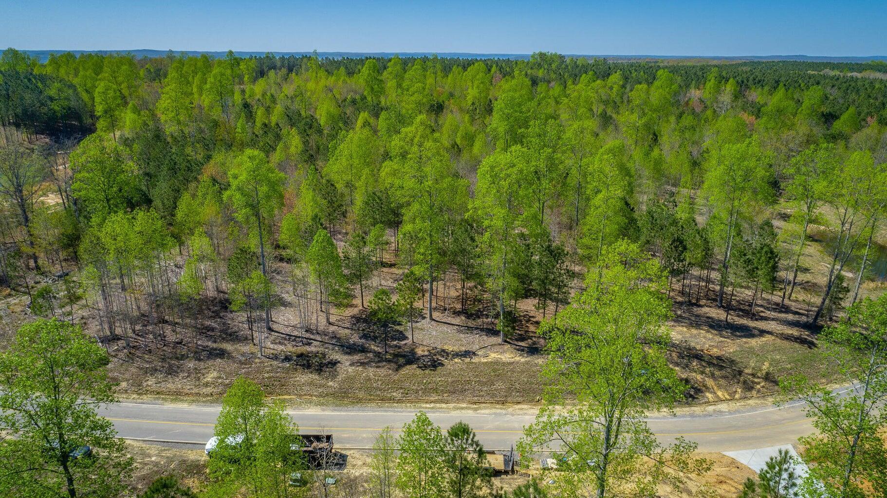 6390 Raulston Falls Drive Jasper, TN 37347 - Photo 6 of 41 20250505153048465210000000-o