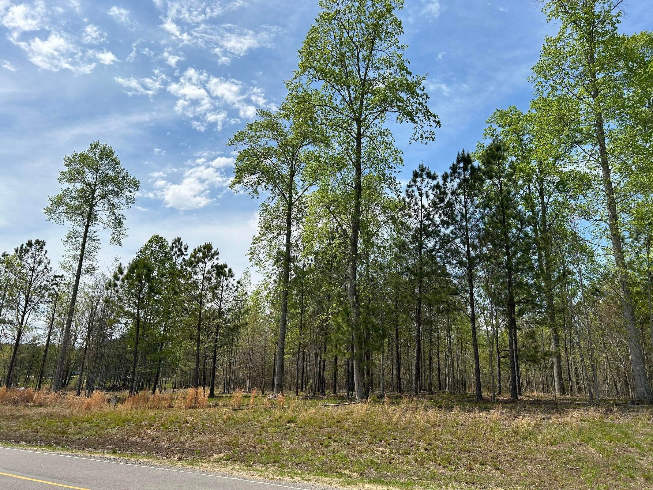 6390 Raulston Falls Drive Jasper, TN 37347 - Photo 8 of 41 20250505153049308953000000-o