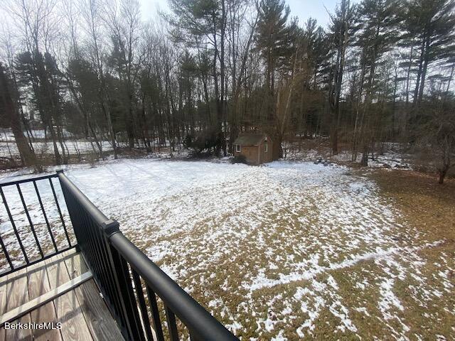 307 Cheshire Road Pittsfield, MA 01201 - Photo 16 of 16 Rear yard
