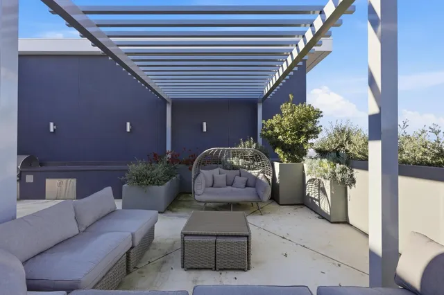 a room with furniture and a potted plant