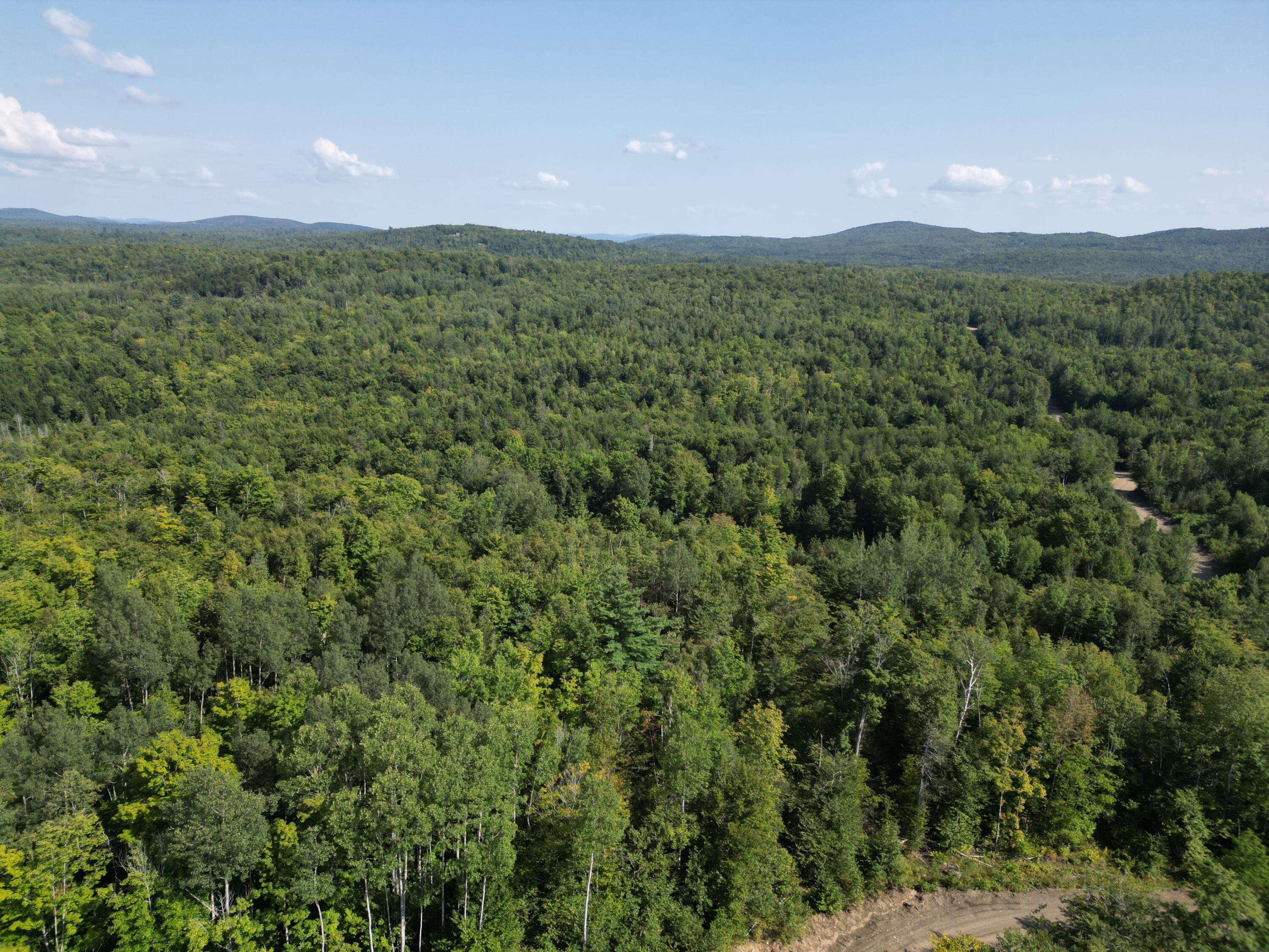 Lot 11 West Road Springfield, ME 04487 - Photo 12 of 12 DJI_0102