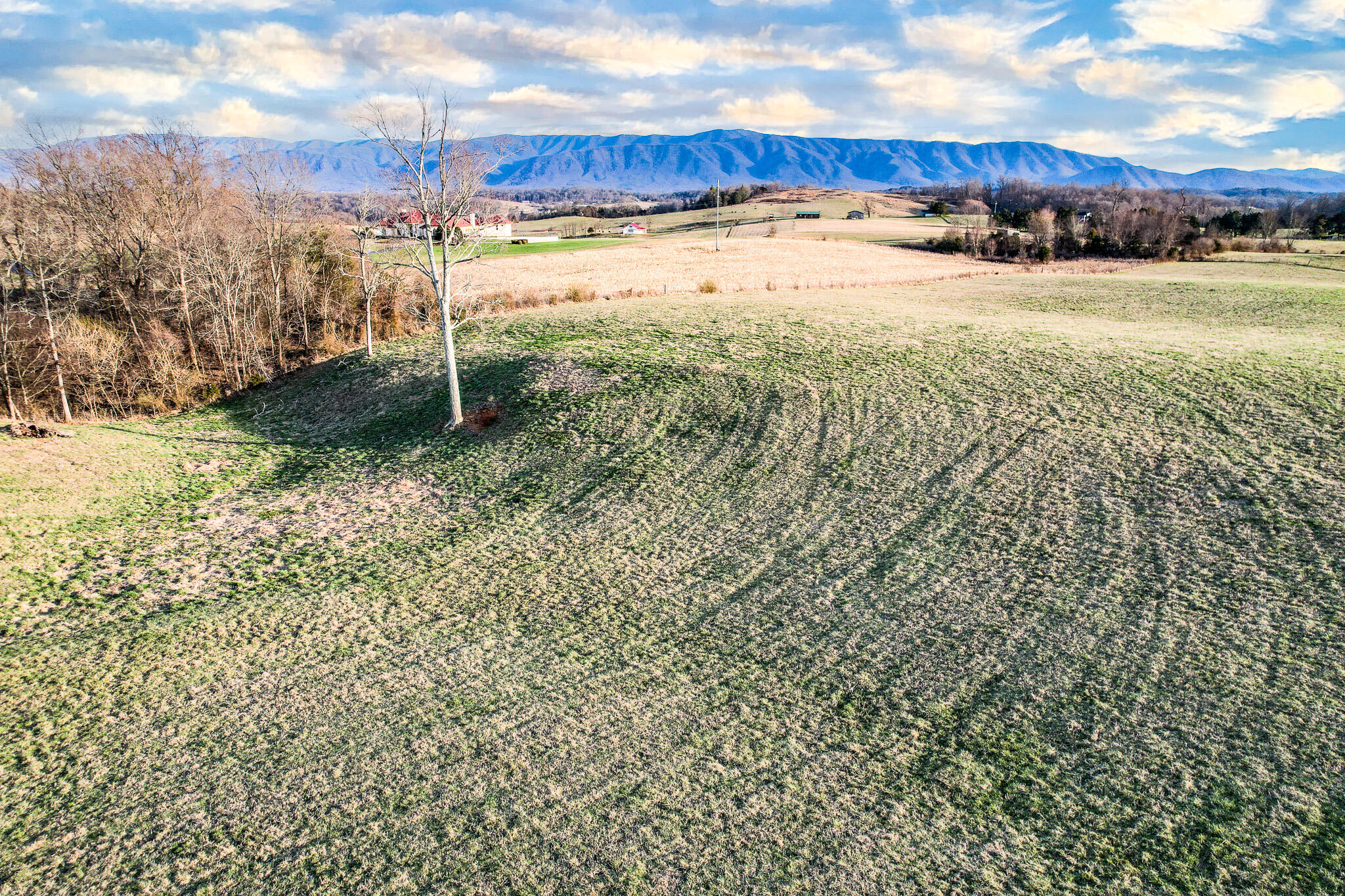 4250 Jones Bridge Road Greeneville, TN 37743 - Photo 11 of 21 DJI_0453-Edit