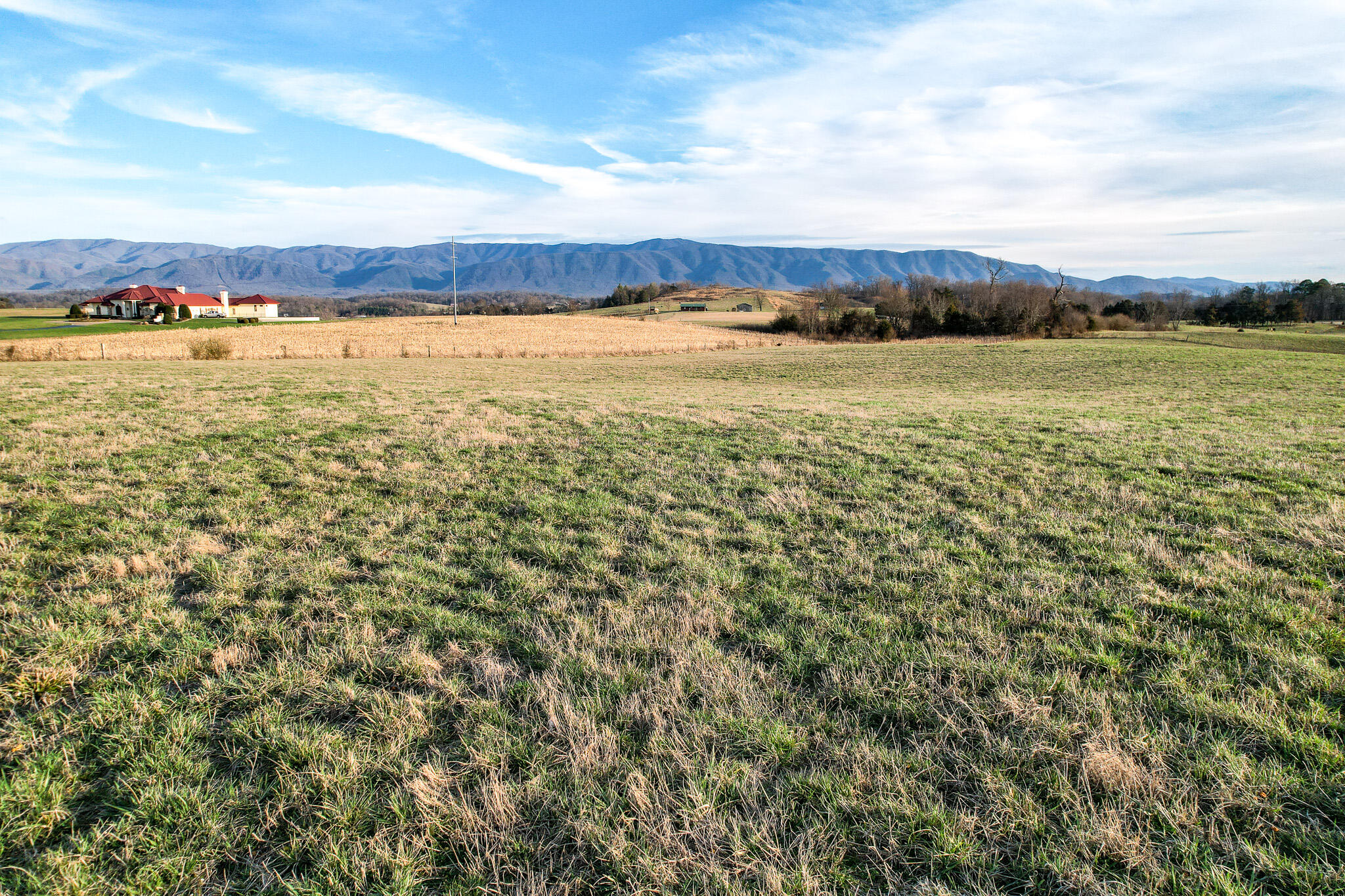 4250 Jones Bridge Road Greeneville, TN 37743 - Photo 13 of 21 DJI_0457