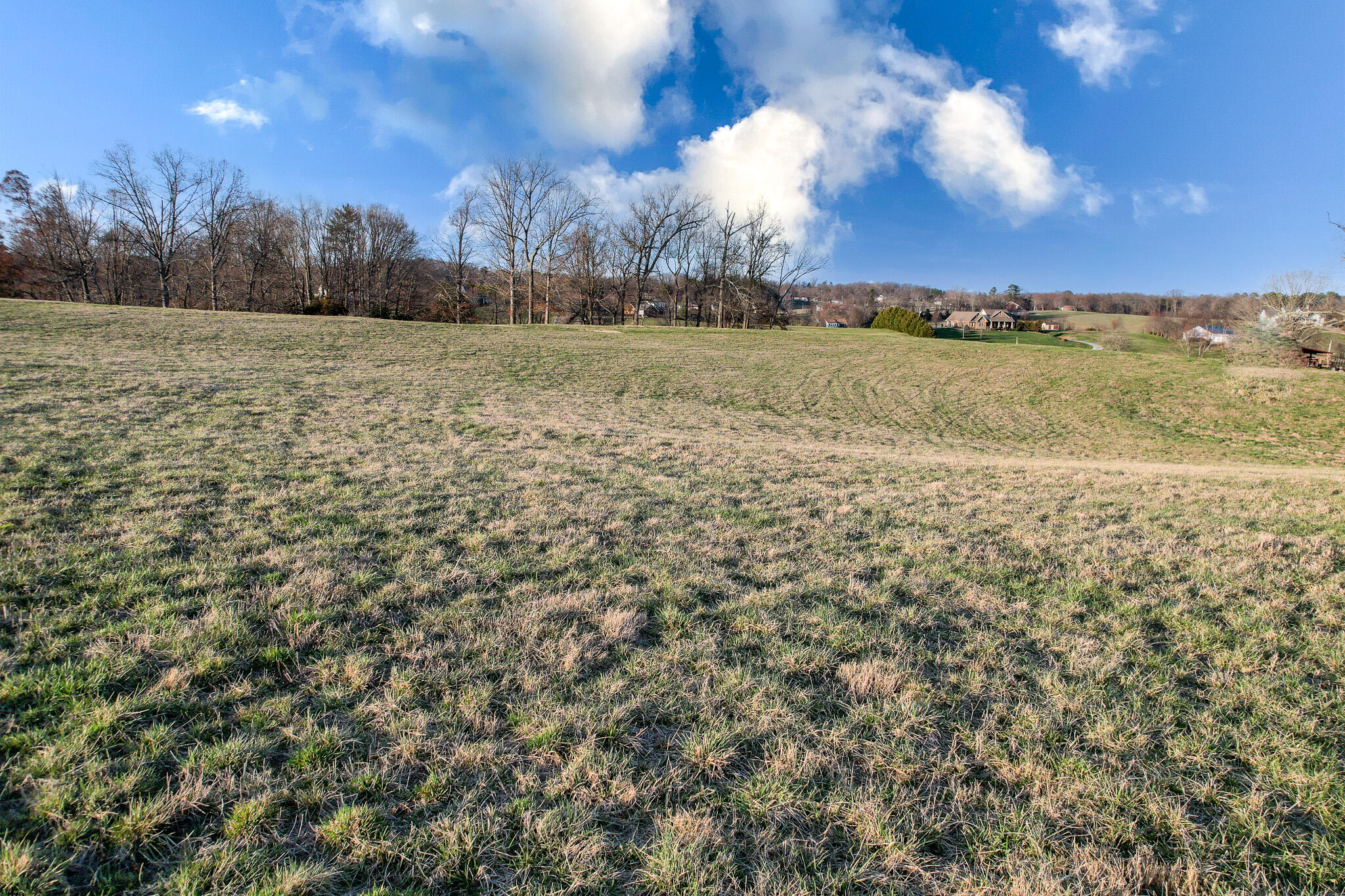 4250 Jones Bridge Road Greeneville, TN 37743 - Photo 15 of 21 DJI_0460-Edit