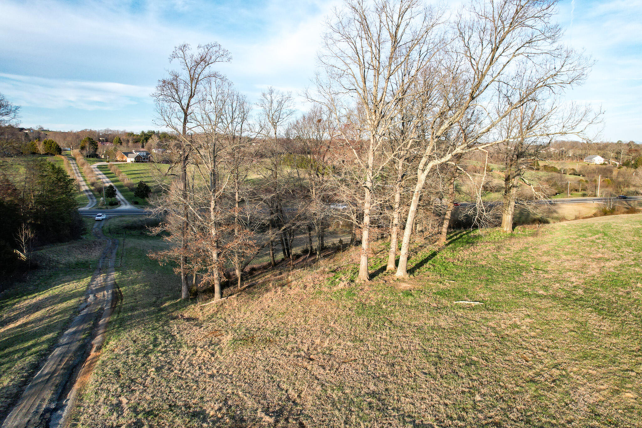 4250 Jones Bridge Road Greeneville, TN 37743 - Photo 16 of 21 DJI_0461