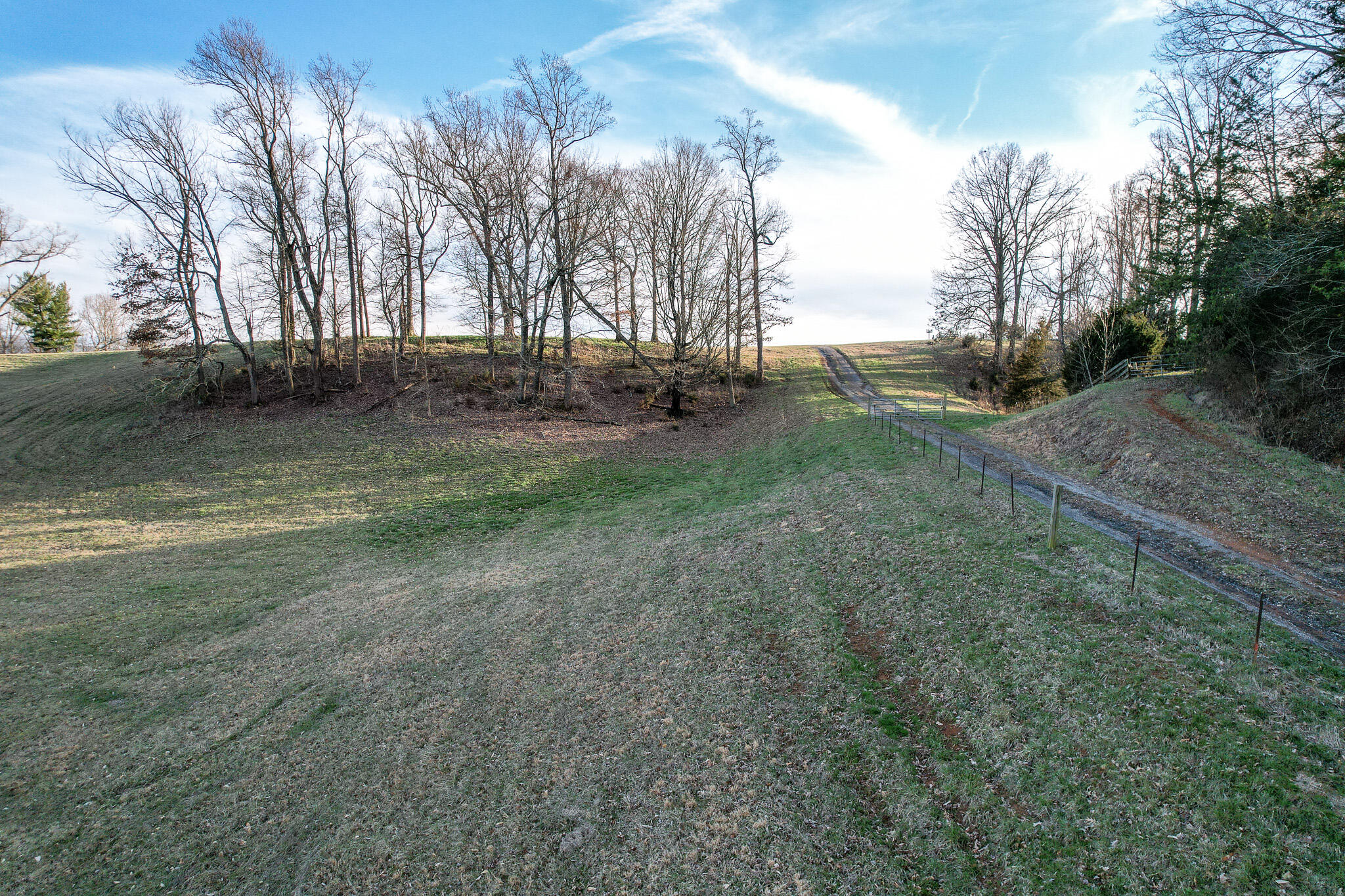 4250 Jones Bridge Road Greeneville, TN 37743 - Photo 18 of 21 DJI_0463