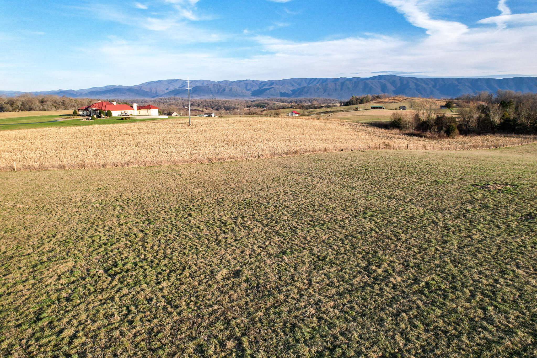 DJI_0443
