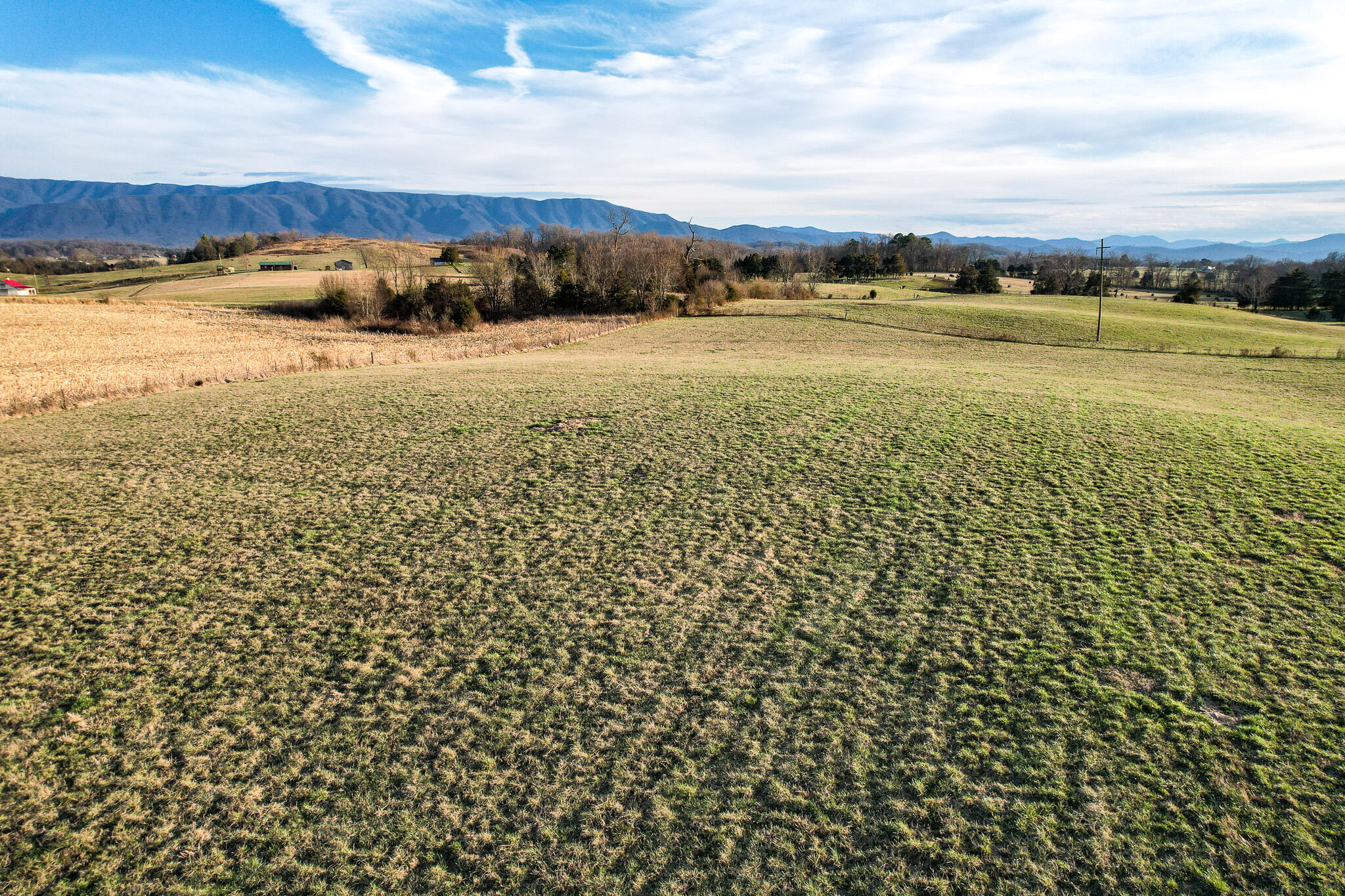 4250 Jones Bridge Road Greeneville, TN 37743 - Photo 8 of 21 DJI_0444