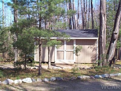 4151 South Cedar Road Chase, MI 49623 - Photo 3 of 14 Additional Photo