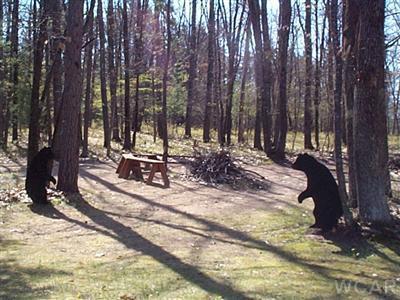 4151 South Cedar Road Chase, MI 49623 - Photo 4 of 14 Additional Photo