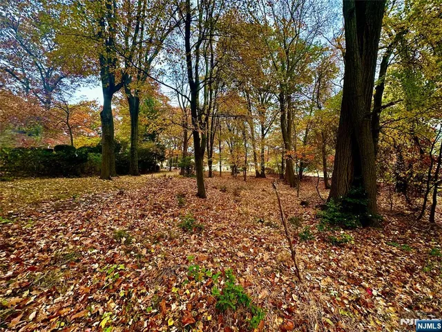 a view of outdoor space with trees
