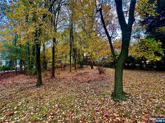 a view of outdoor space with lots of trees