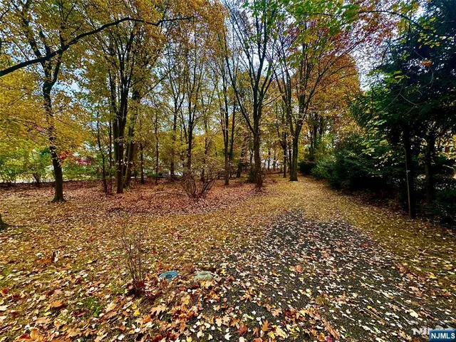 a view of outdoor space with trees
