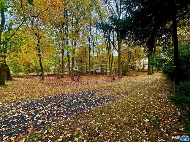 a view of outdoor space with trees