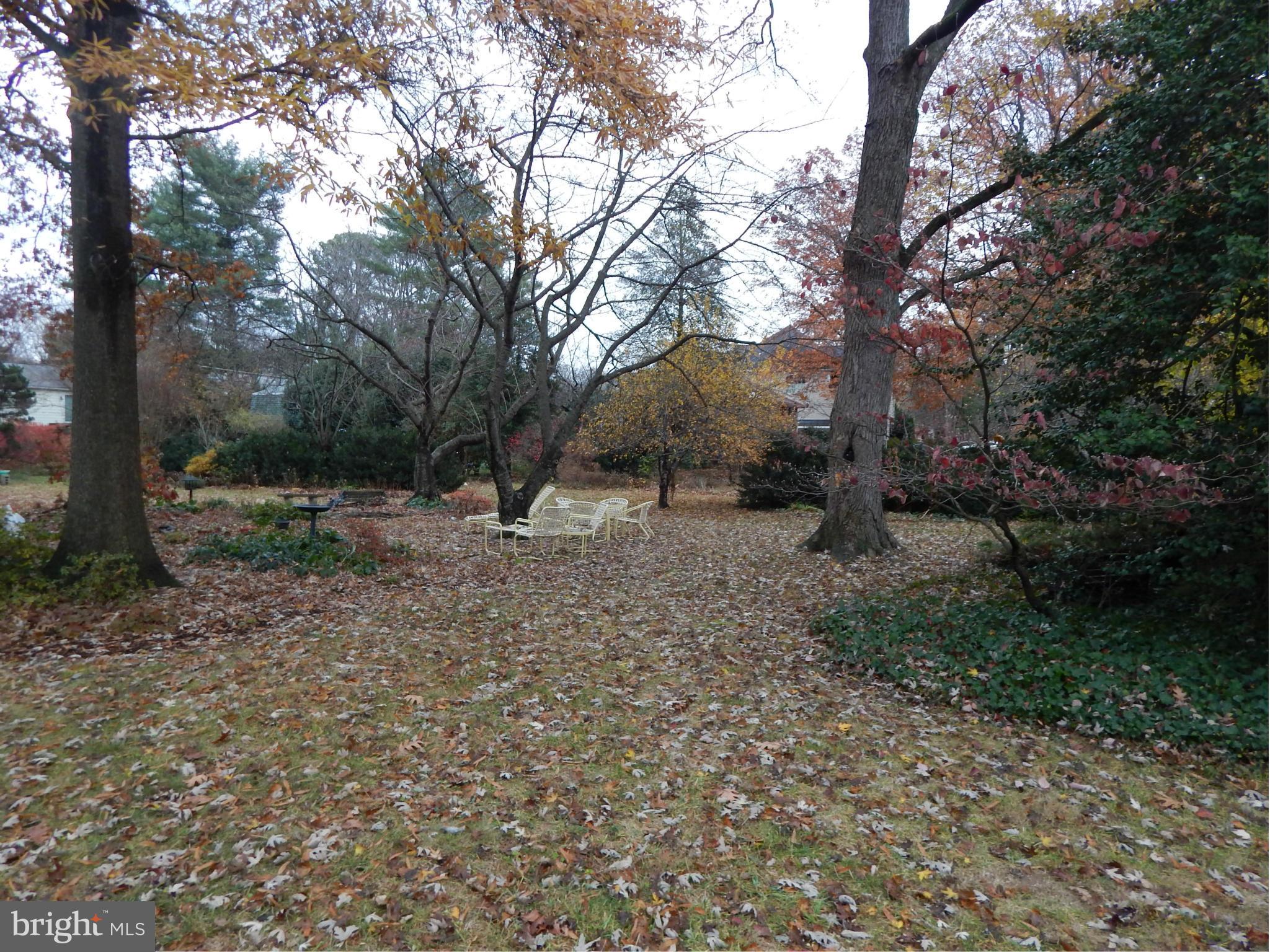 8121 Fort Hunt Road Alexandria, VA 22308 - Photo 3 of 5 Back Yard