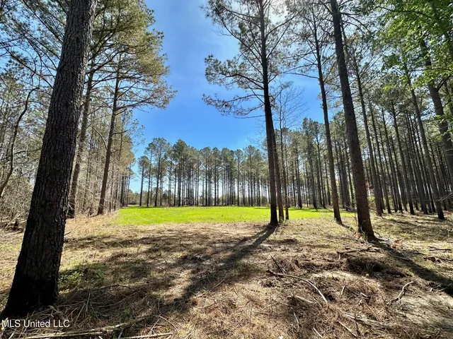 $99,000 | 0 Morgan Road, Canton, MS 39046