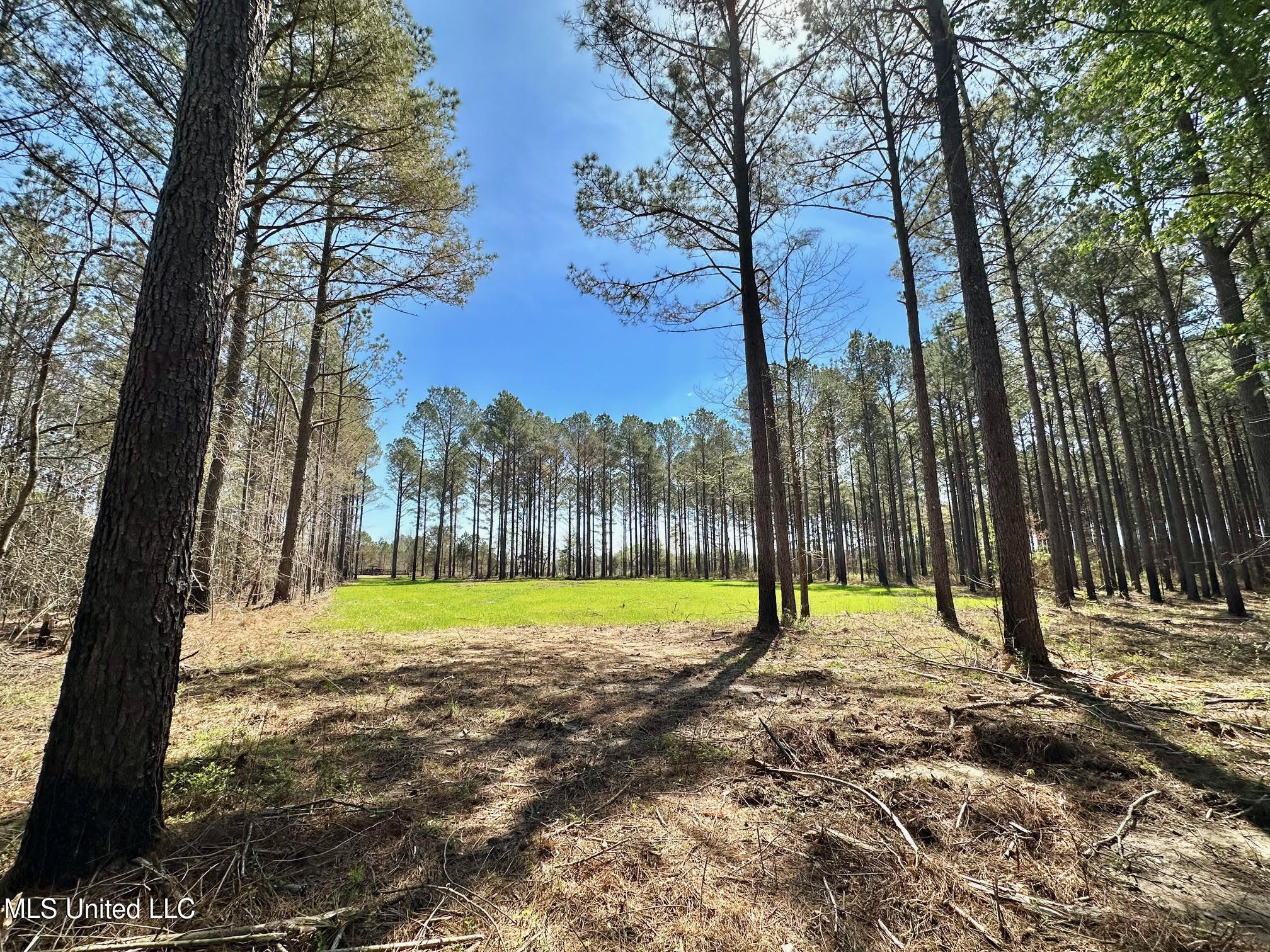 0 Morgan Road Canton, MS 39046 - Photo 1 of 21 Field