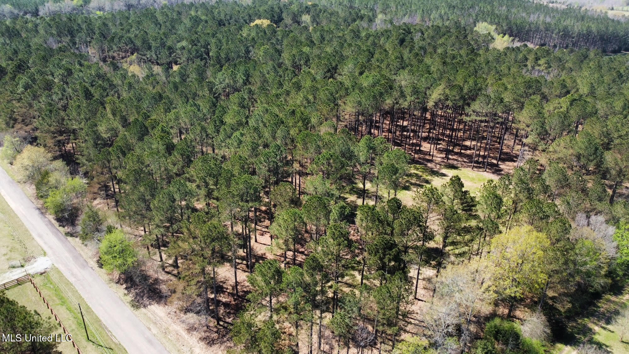 0 Morgan Road Canton, MS 39046 - Photo 11 of 21 11