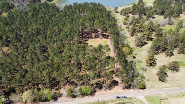 $99,000 | 0 Morgan Road, Canton, MS 39046