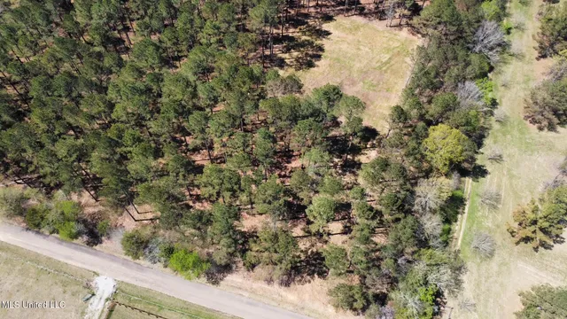 $99,000 | 0 Morgan Road, Canton, MS 39046