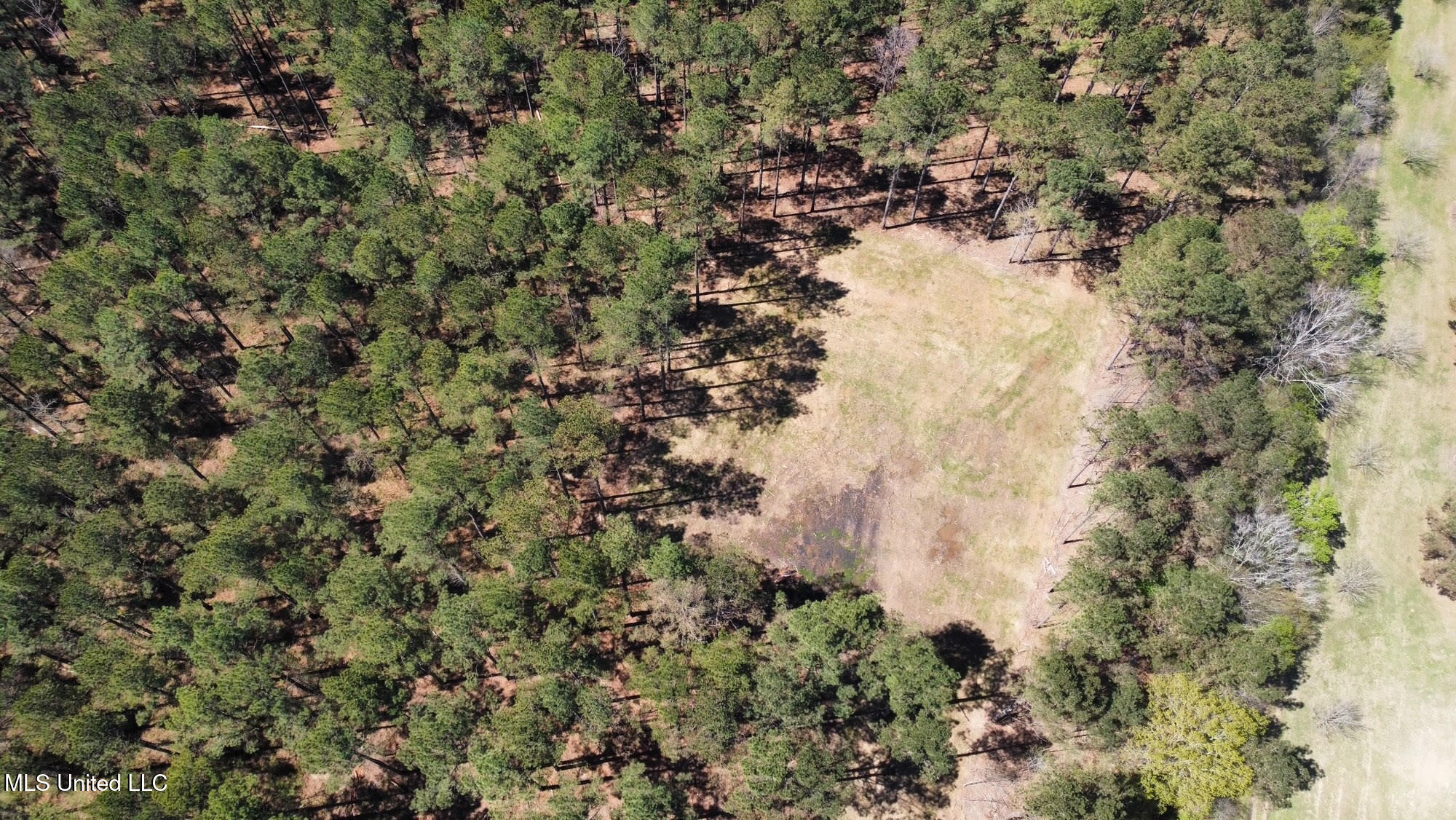 0 Morgan Road Canton, MS 39046 - Photo 15 of 21 15