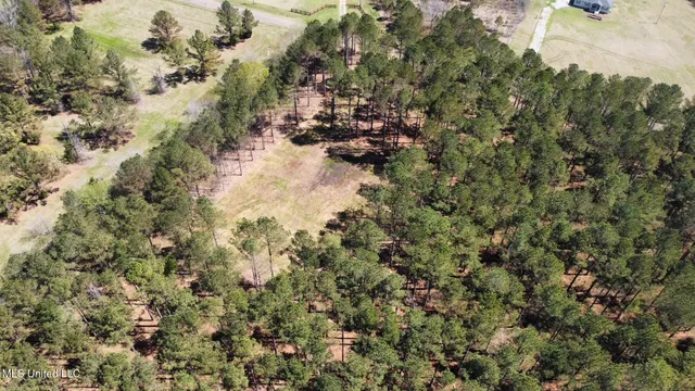 $99,000 | 0 Morgan Road, Canton, MS 39046