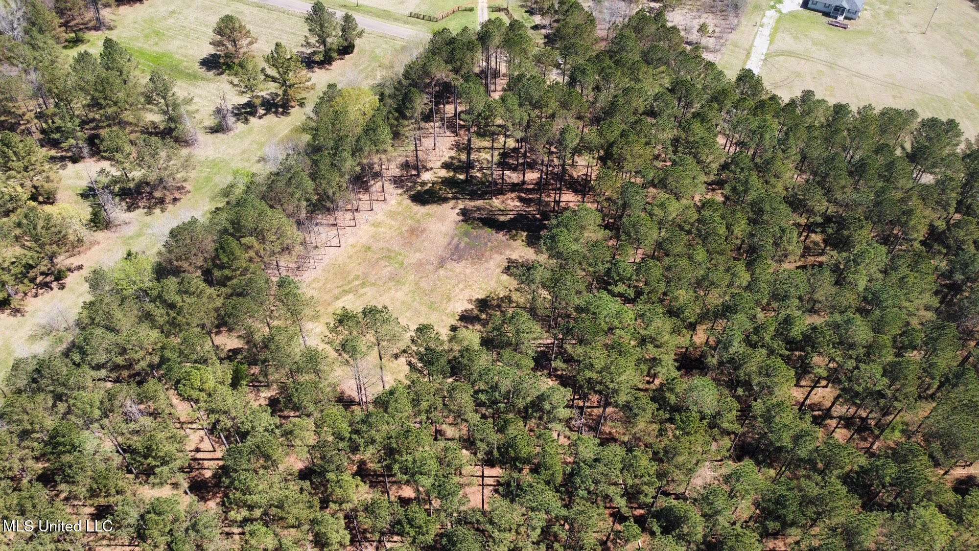 0 Morgan Road Canton, MS 39046 - Photo 16 of 21 16