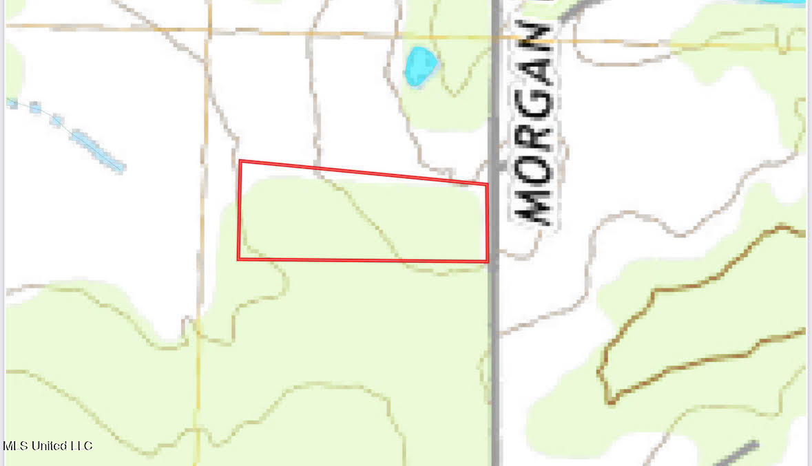 0 Morgan Road Canton, MS 39046 - Photo 19 of 21 19