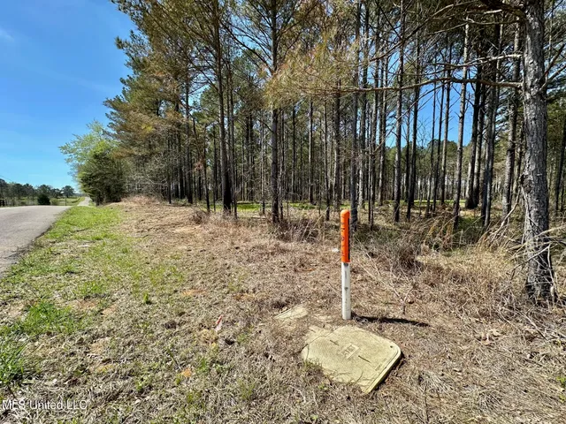 $99,000 | 0 Morgan Road, Canton, MS 39046