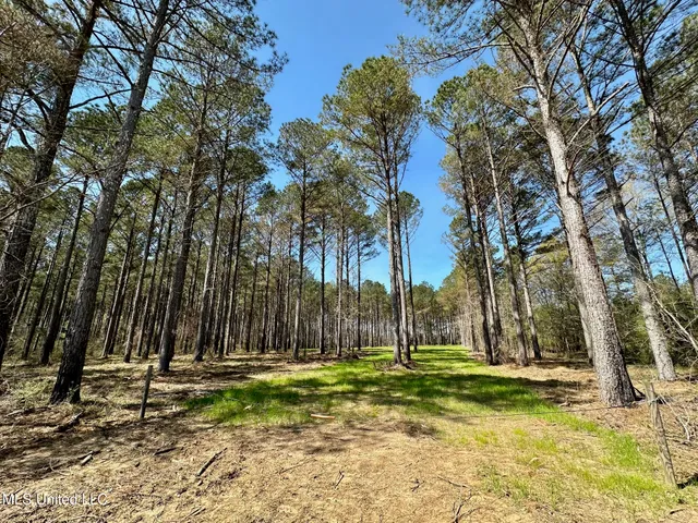 $99,000 | 0 Morgan Road, Canton, MS 39046